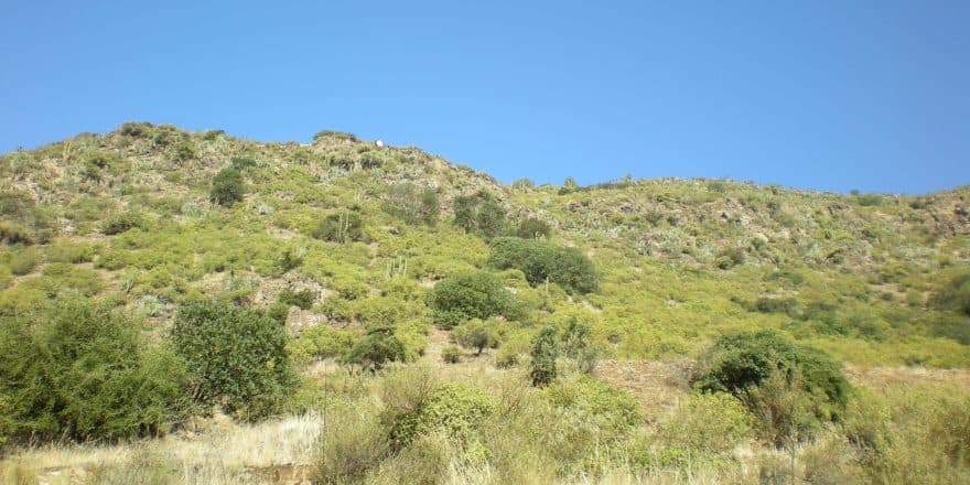 Foto de Terreno en Lo Barnechea, Camino a Farellones